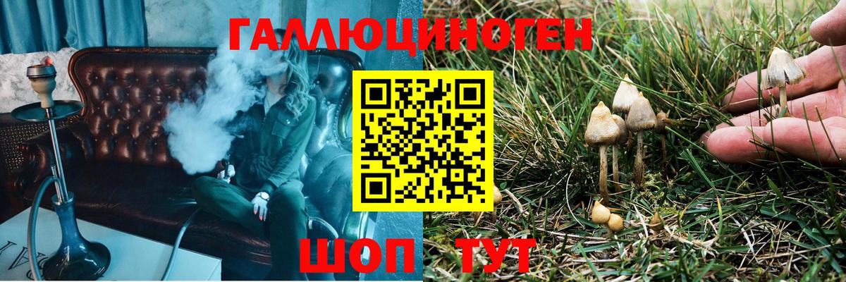 Галлюциногенные грибы прущие грибы  Галлюциногенные грибы Psilocybe  где можно купить наркотик  Коряжма  Вход с VPN 